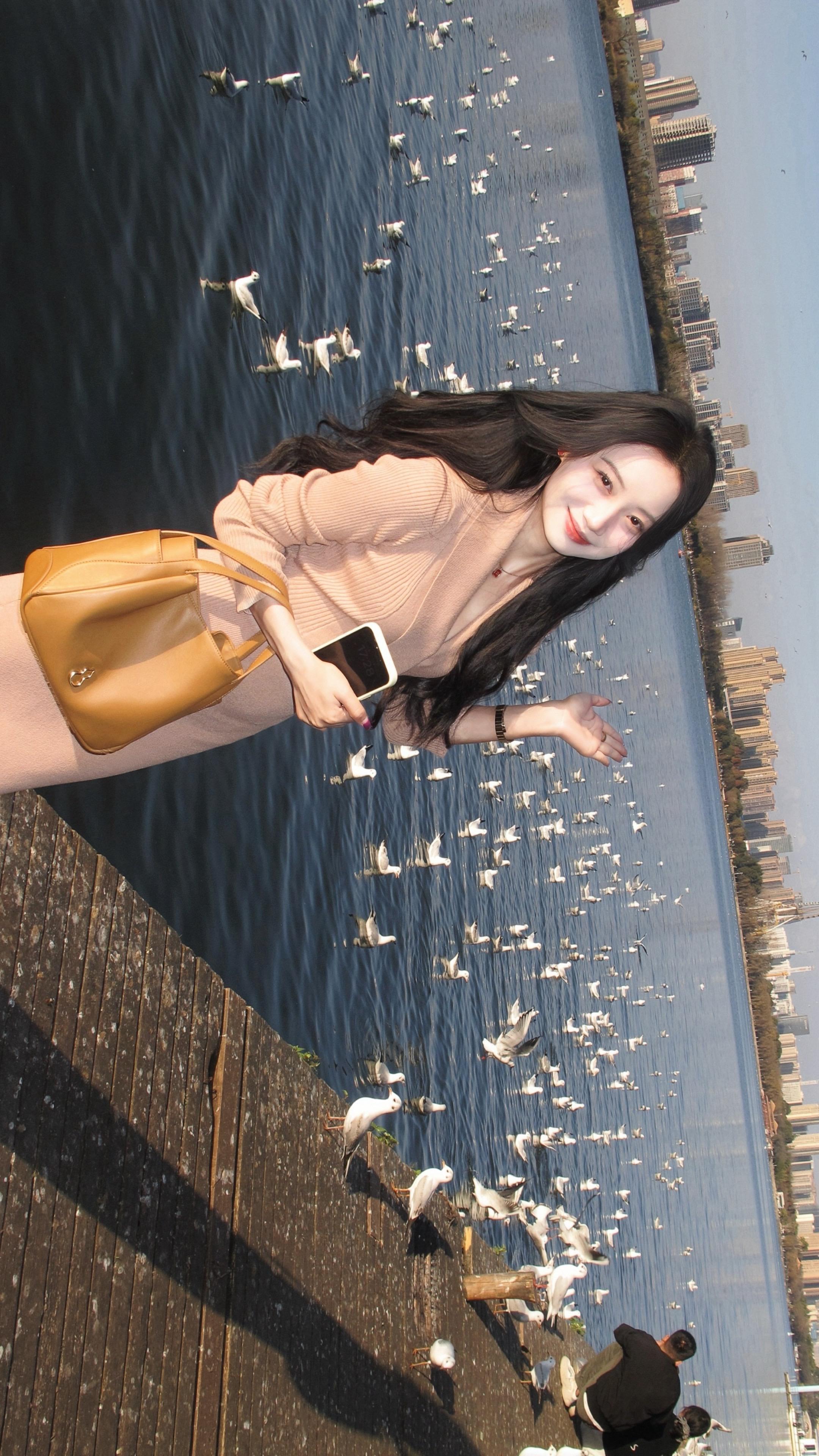 天气那么好  可以一起看海鸥吗
