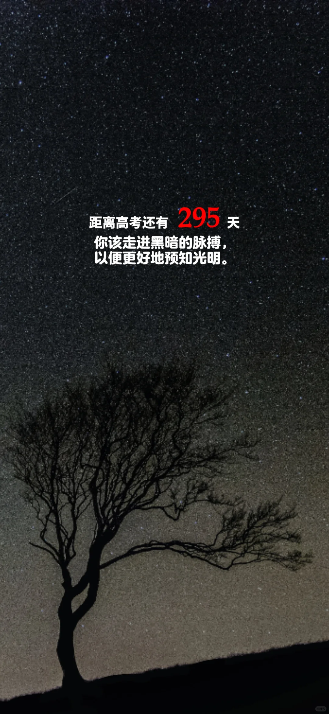 2025高考倒计时，每日更新。