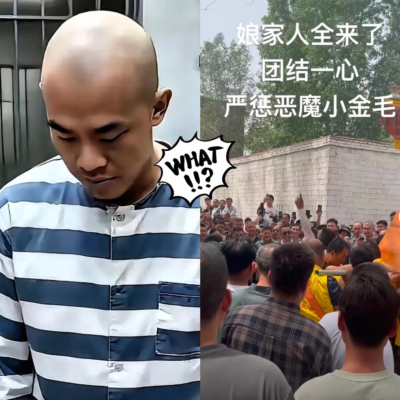 谁能想到，曾经把“威胁”当武器的金毛一家，如今要靠深夜的恐慌来偿还过去？
 
当