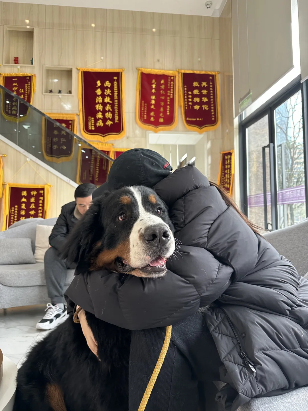 越长越帅✌️