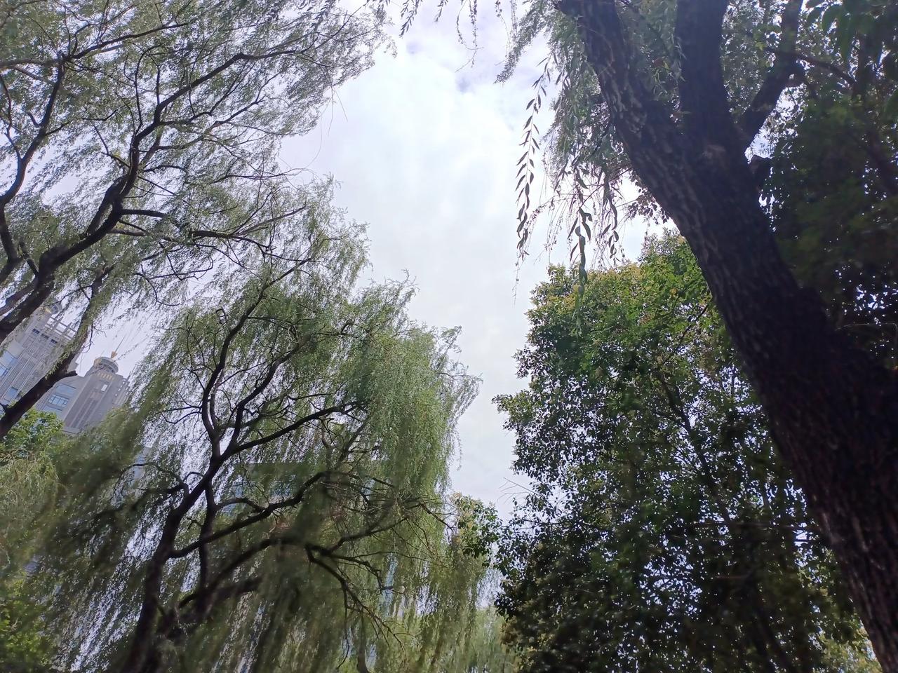 周一午评（20250603）
端午节结束，A股又开盘。
银行拉起来，证券不摆烂。