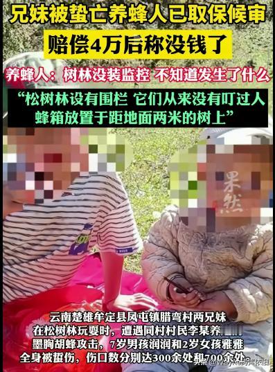 不懂就问哈，像这样的情况，如何界定责任划分呢？一定是养蜂人的全责吗？我没有别的意