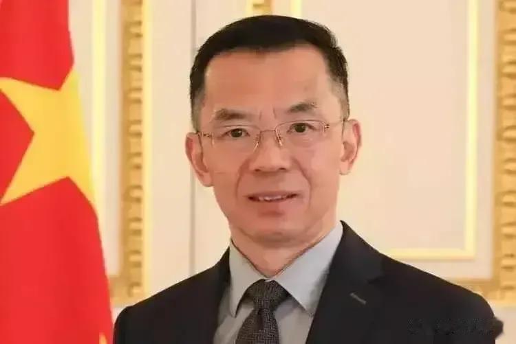 万万没想到，前几天卢沙野大使一番话，居然让总喜欢在台湾问题上找中国麻烦的国家们闭