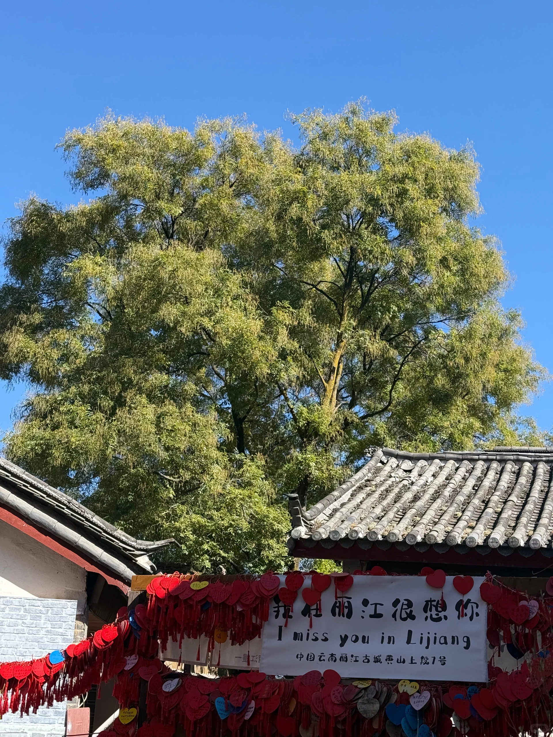 一家人出门的快乐是乘三倍的都说带娃出门是换个地方受累🚶，但真到了外面才懂一家人