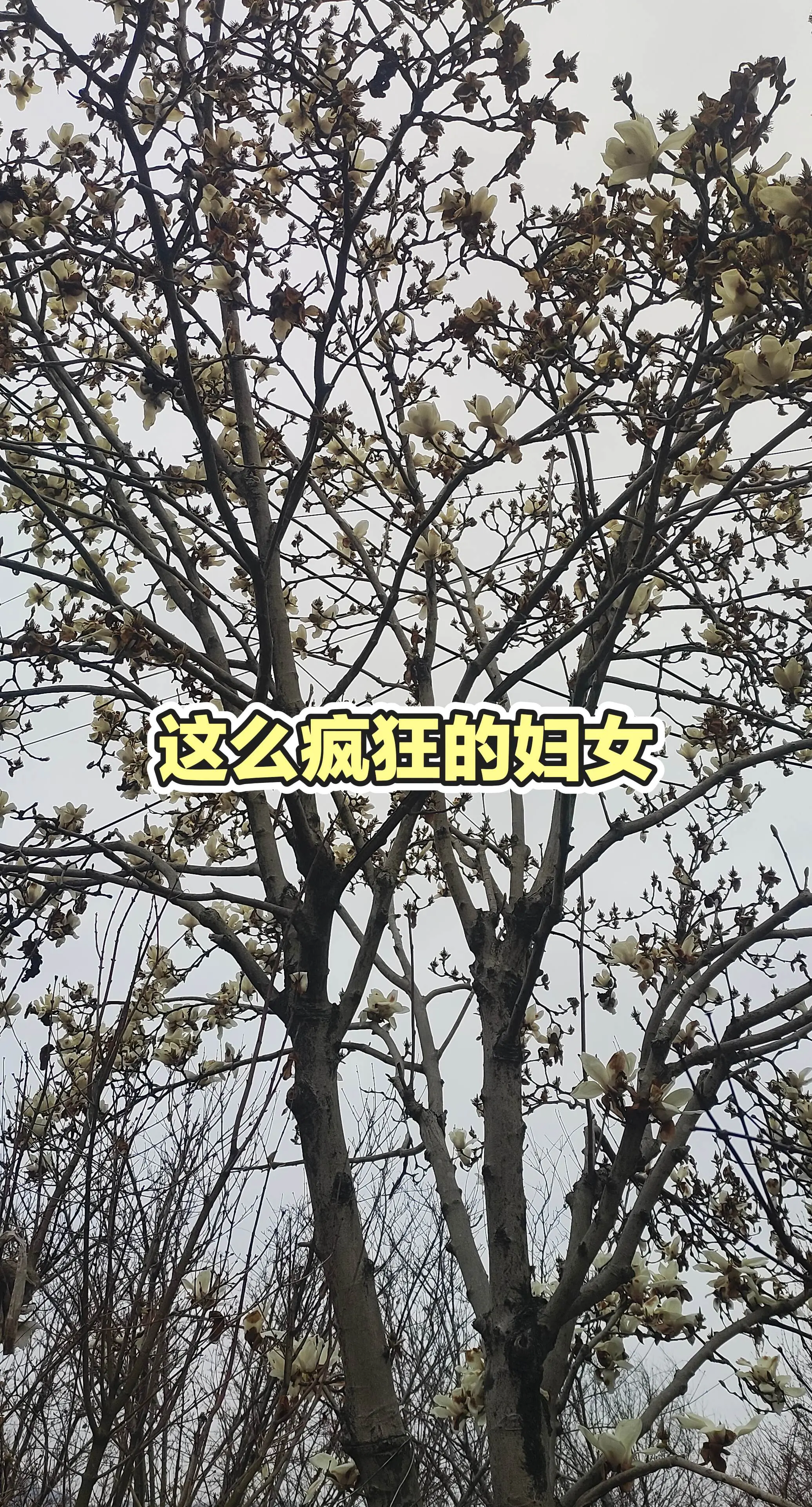 分享有趣的视频