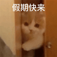 一万块钱让你元旦加班如果有这个机会，我一定报名！但实际上并没有，所以我还是出去撒