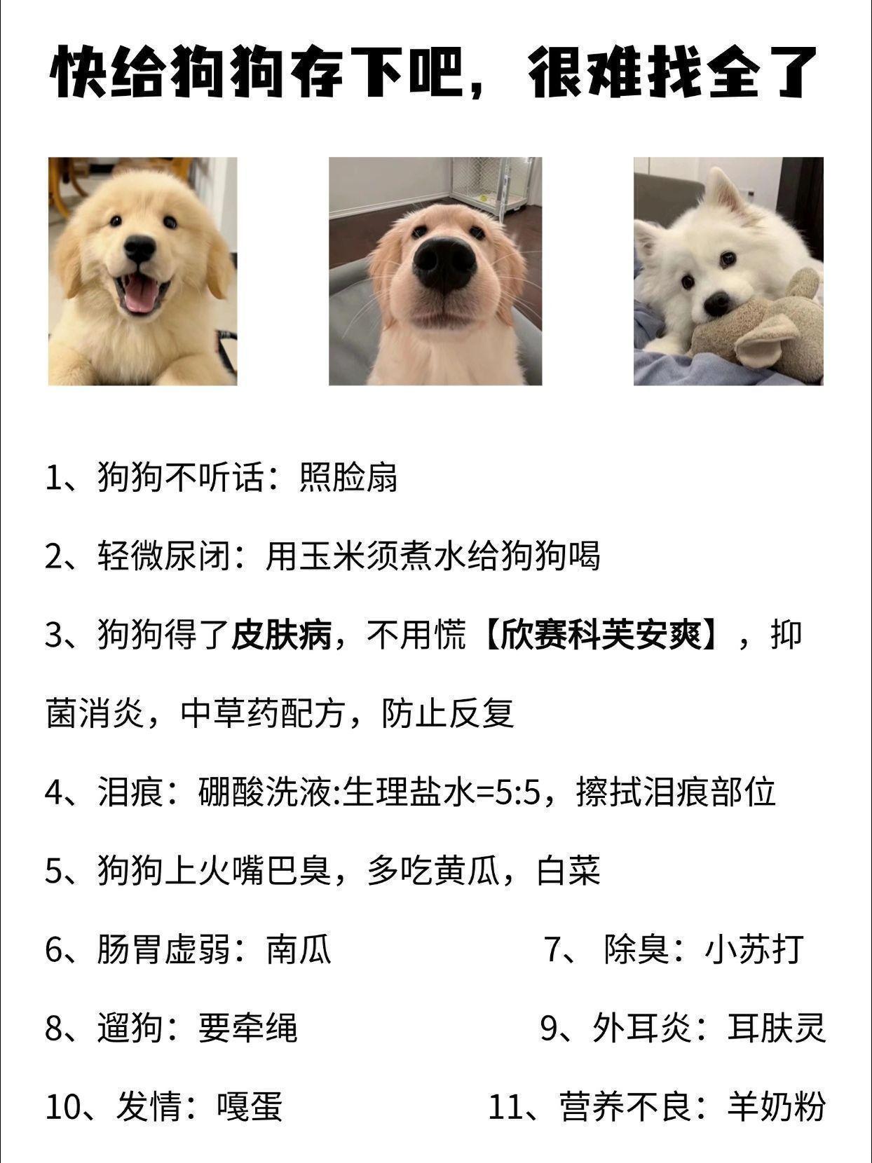 给狗狗存下吧，很难找全了#狗狗##萌宠# ​​​