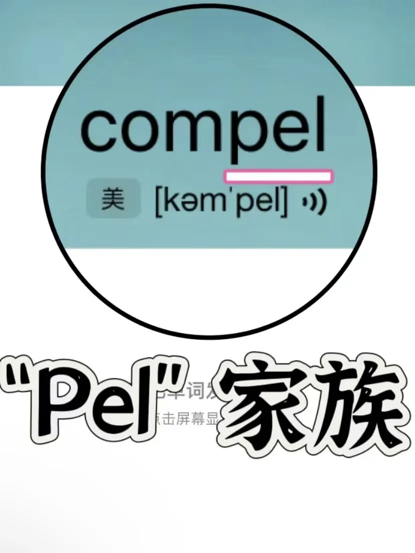 🔥历年真题出现36次！ “pel” 家族