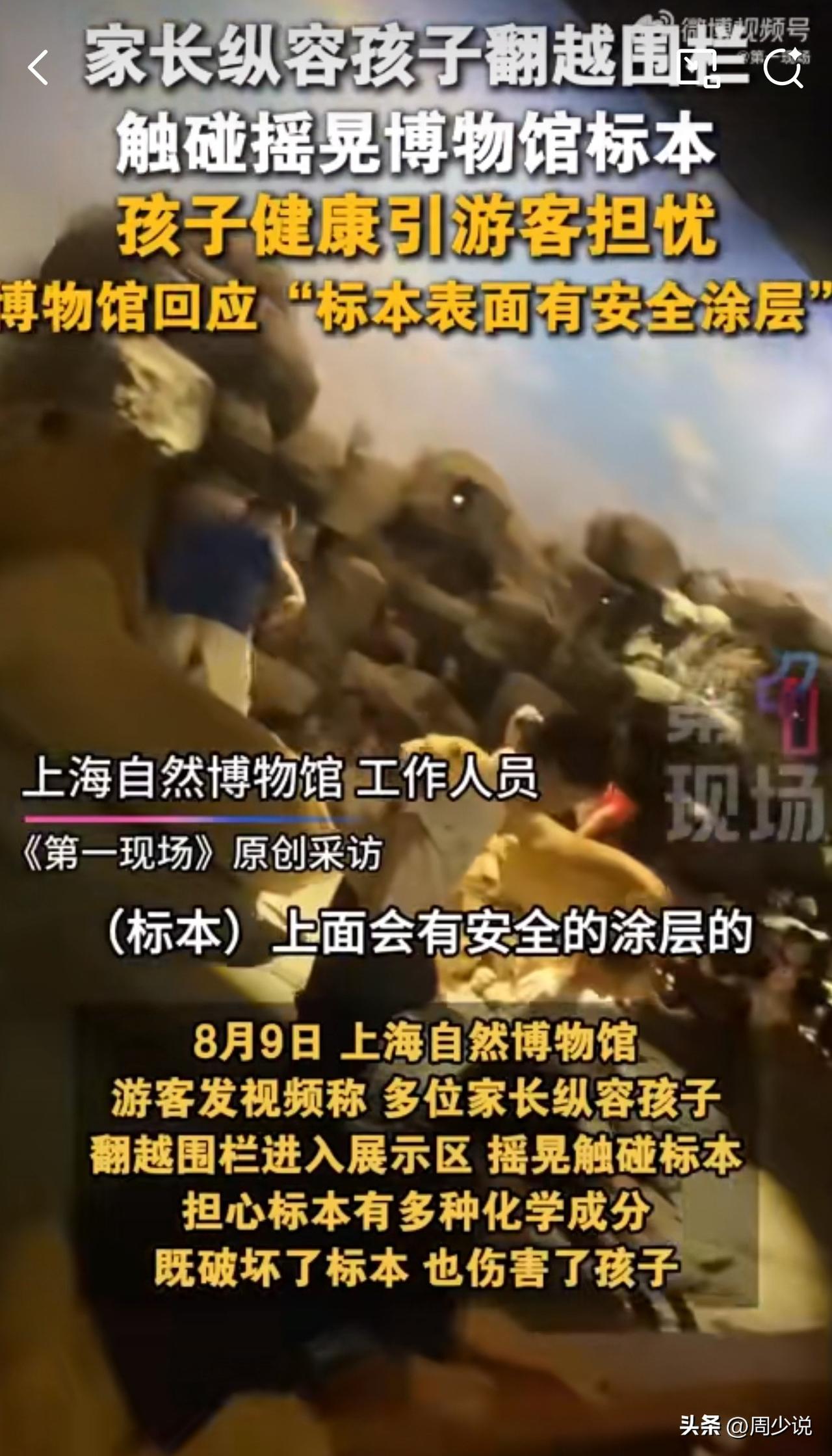 #MCN双量进阶计划#“震惊！”上海自然博物馆里，熊孩子竟然翻越围栏触碰标本！