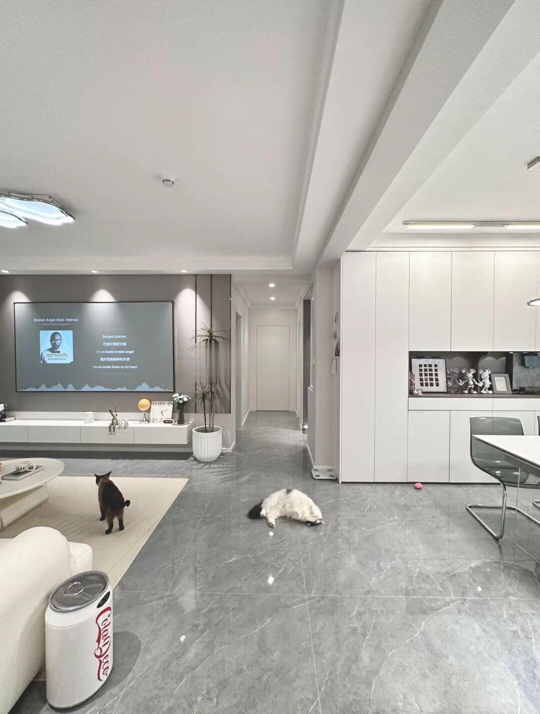 28岁，两人两猫🐱入住dream house很知足了！