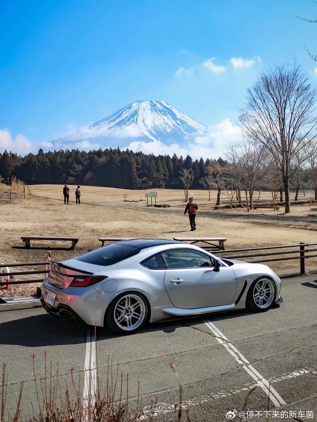 一组86证件照，银色普通但也足够貌美 