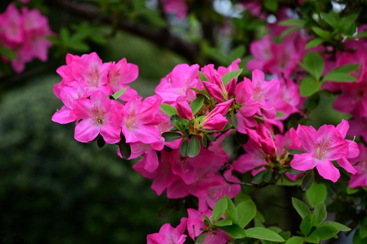 少气多闲，身忙心闲。人生无常，心安即是归处。人生没有那么多的公平可言。人一走，茶