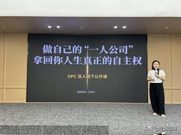 花高价学做一人公司：工具一大堆，真正赚钱靠啥？
最近刷到不少教人开“一人公司”的