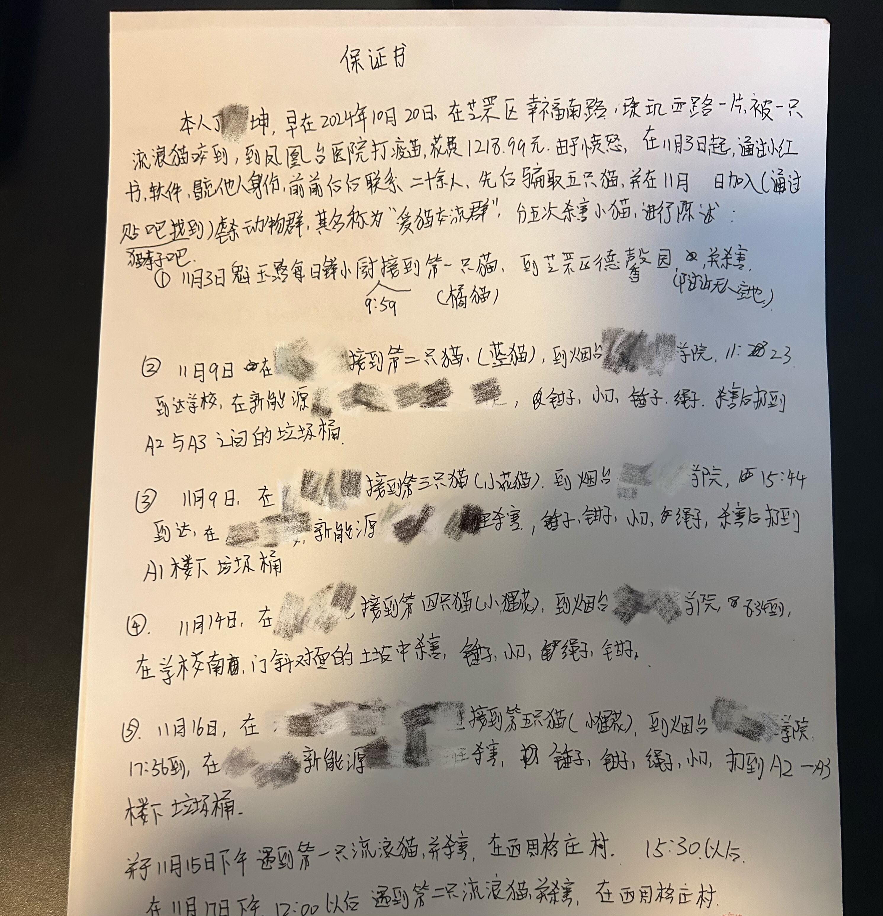 烟台骗猫事件后续回应怀着沉痛的心情，向大家回应一下这个事情的结果，我们于11月2