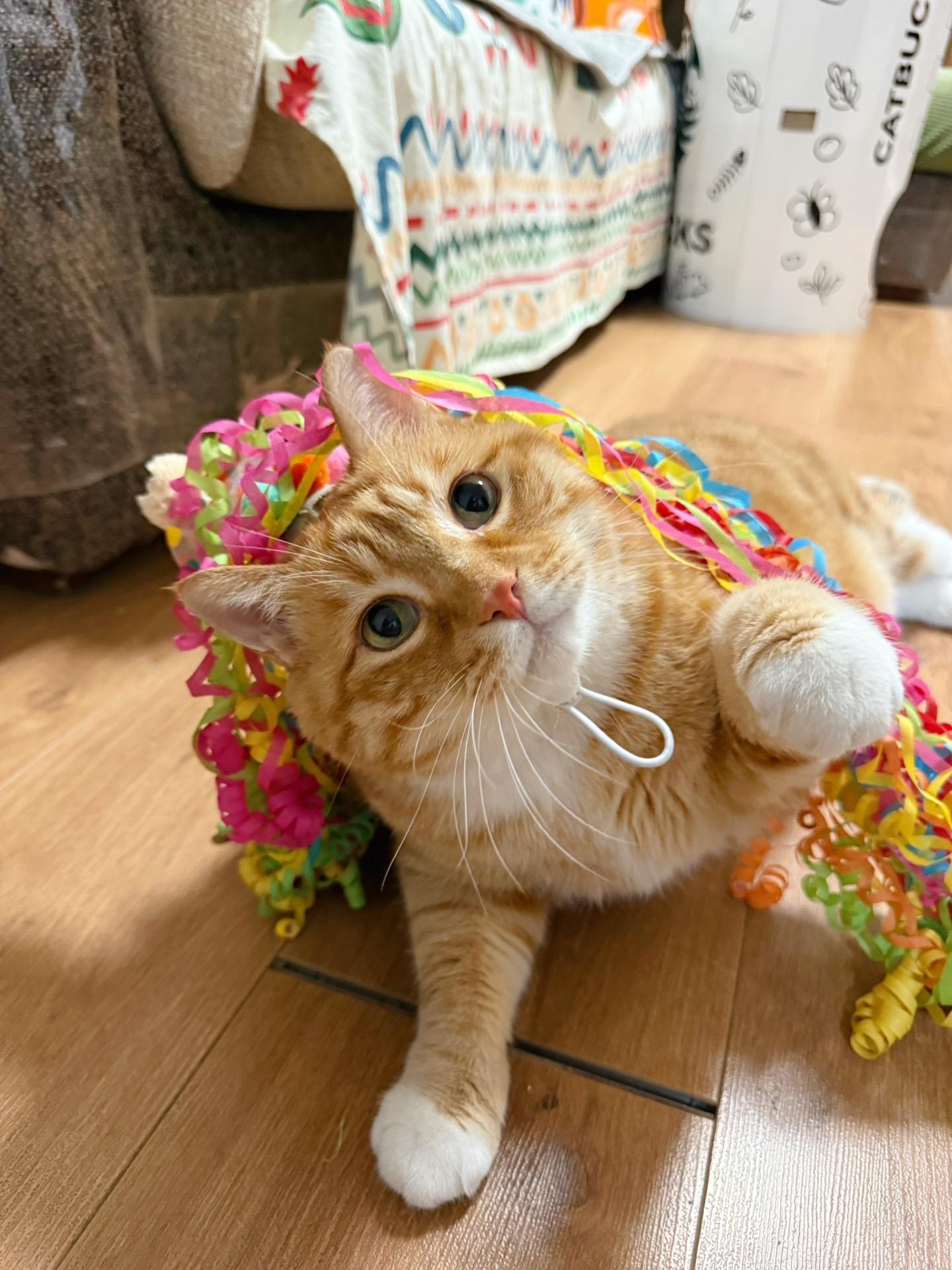 9岁大叔生日快乐。