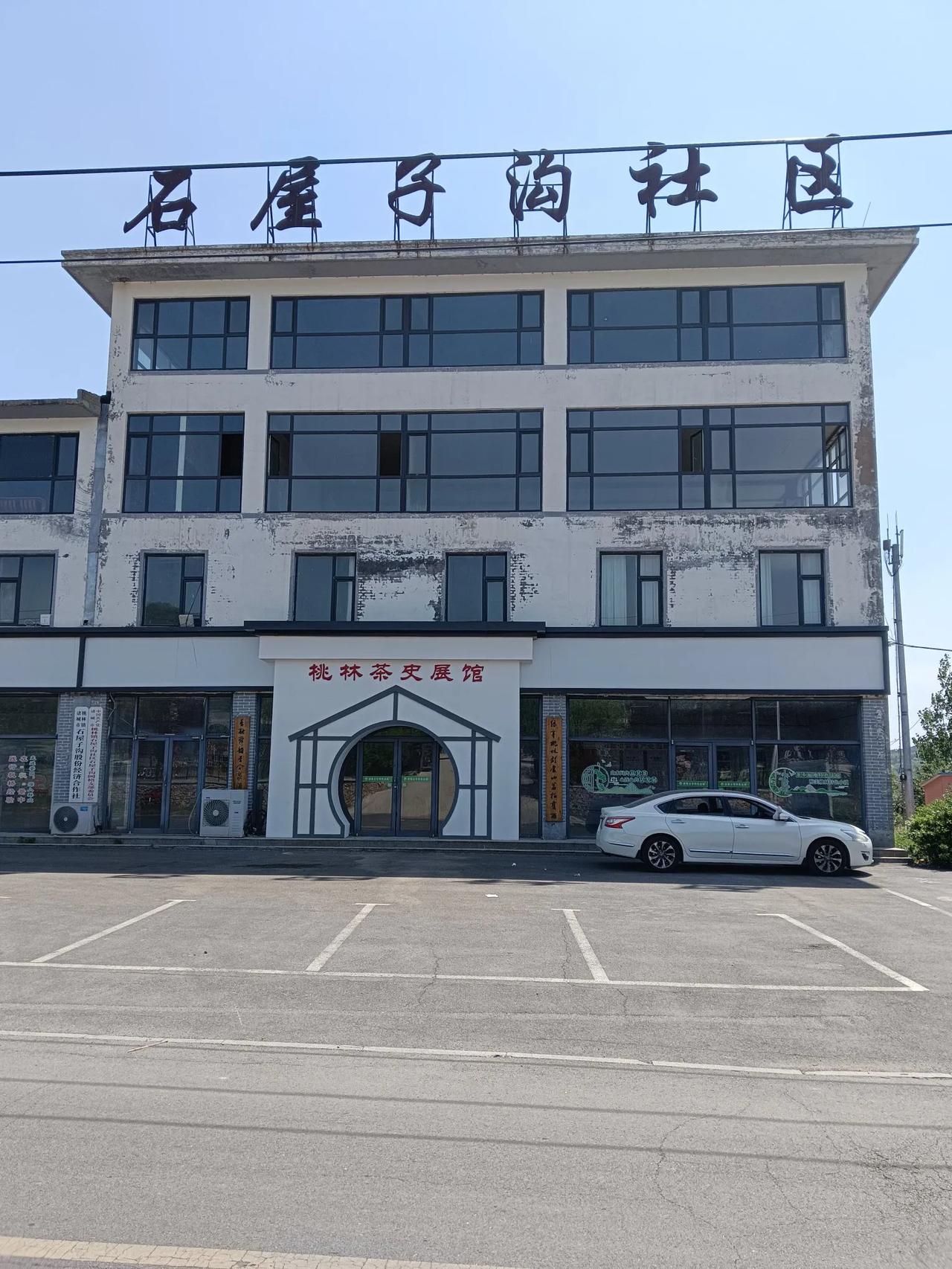 五一风景随拍山东诸城桃林茶园！（五一随拍）
