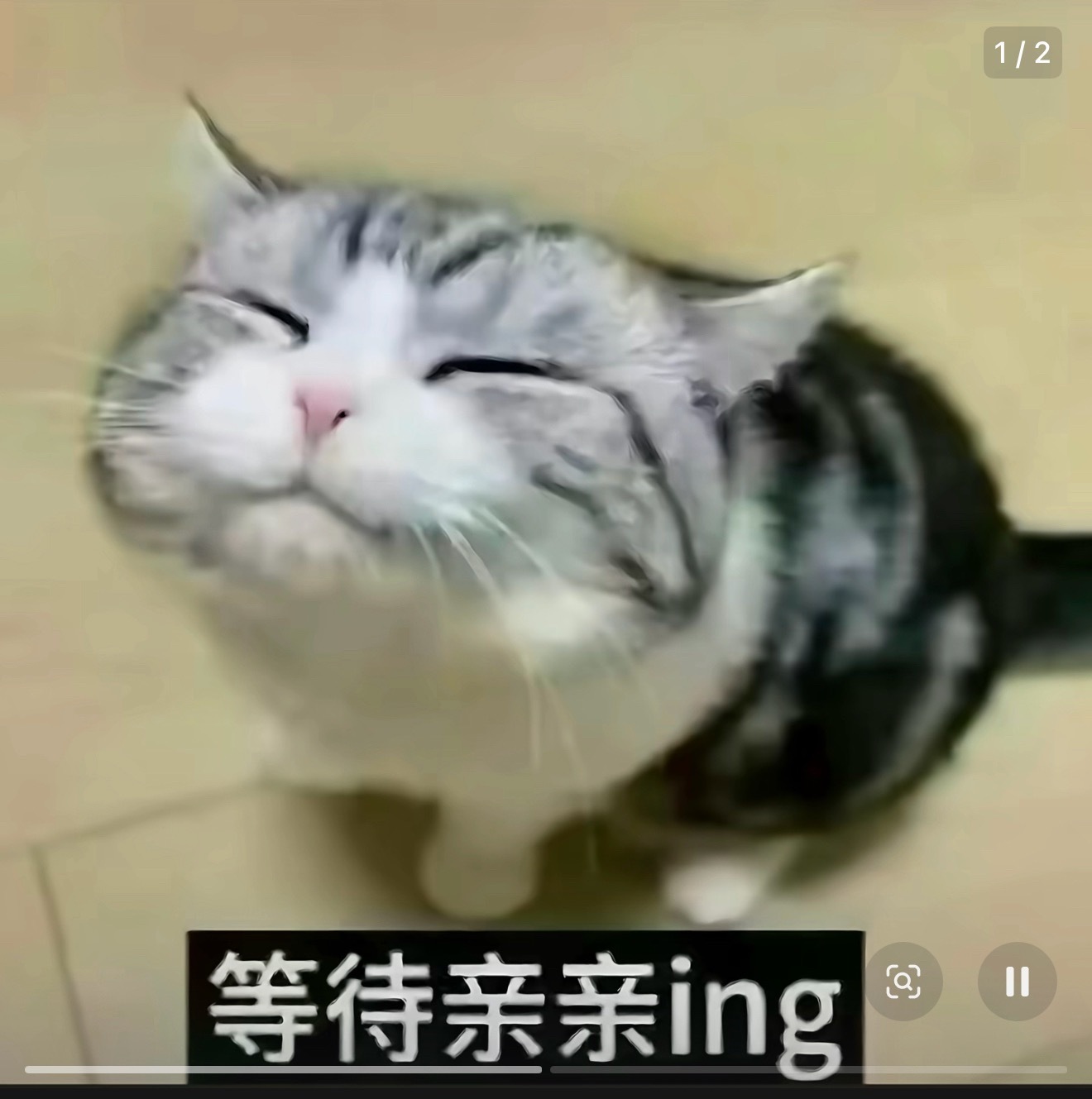 宁艺卓[超话]