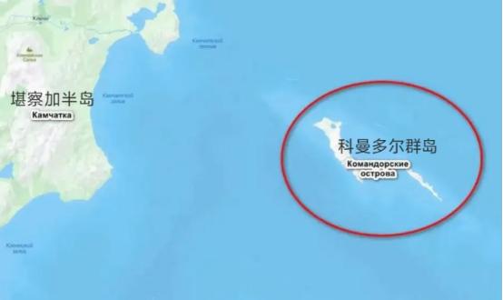 《防务快报》报道，驻爱沙尼亚美军中校杰弗里·弗里茨提出一个建议，美国可以向俄罗斯