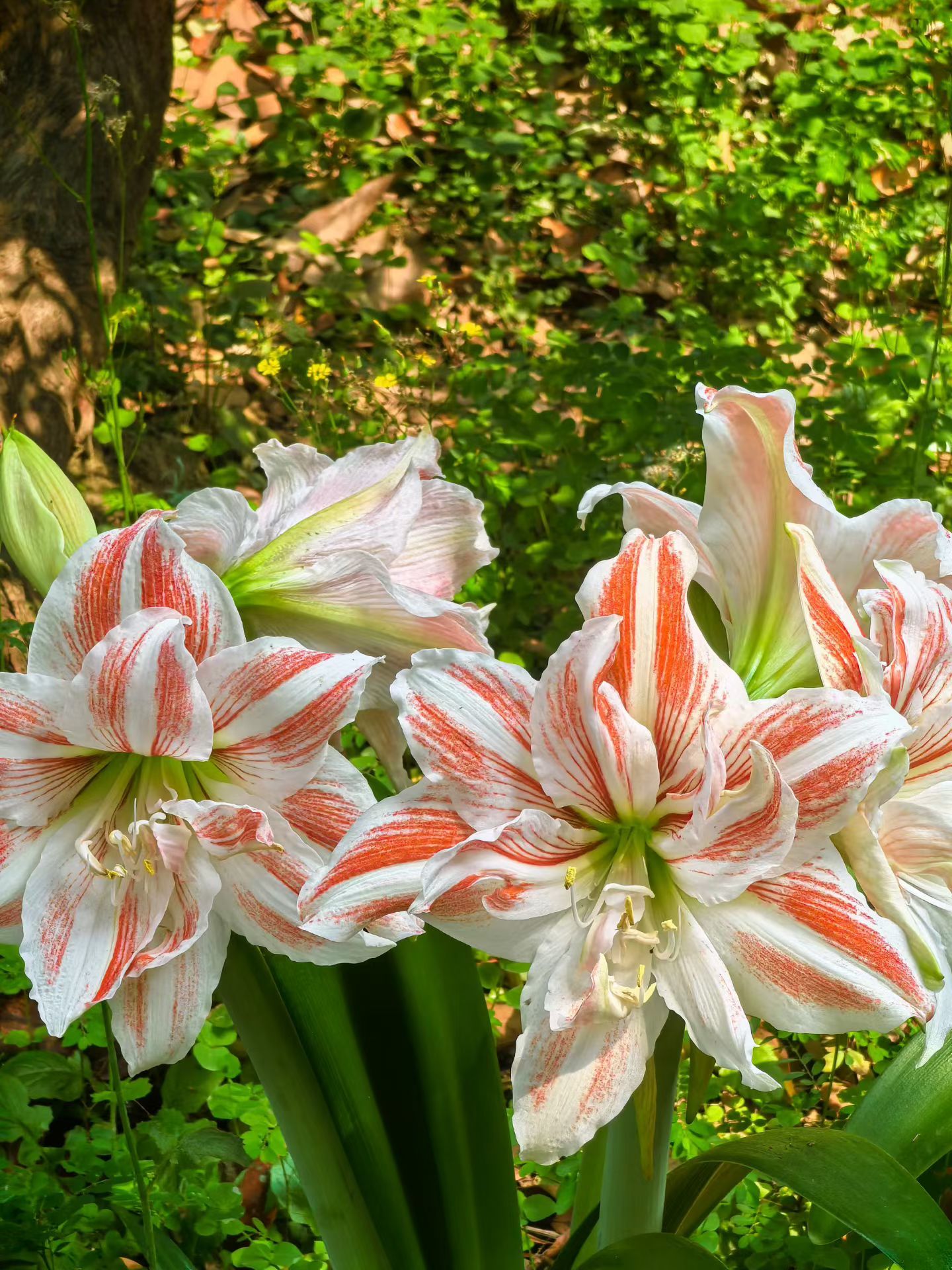 人为什么会累？因为一直在向外给，工作要给精力，家庭要给耐心，社交要给情绪，给多了