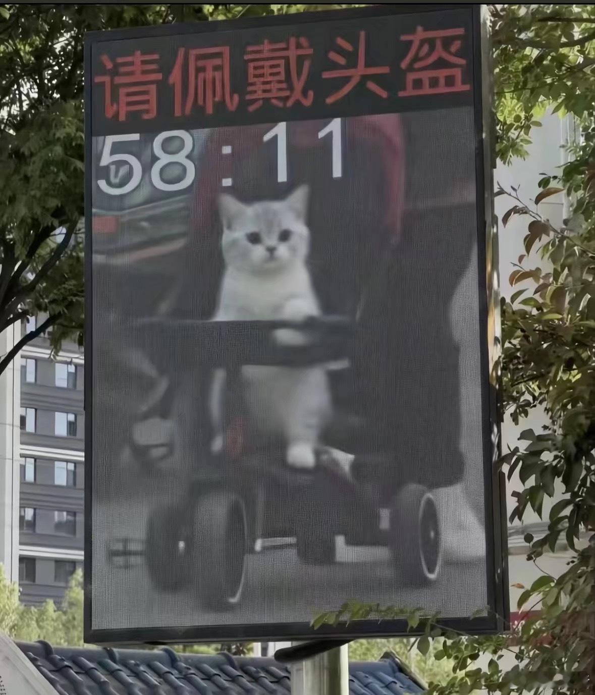 请佩戴头盔 