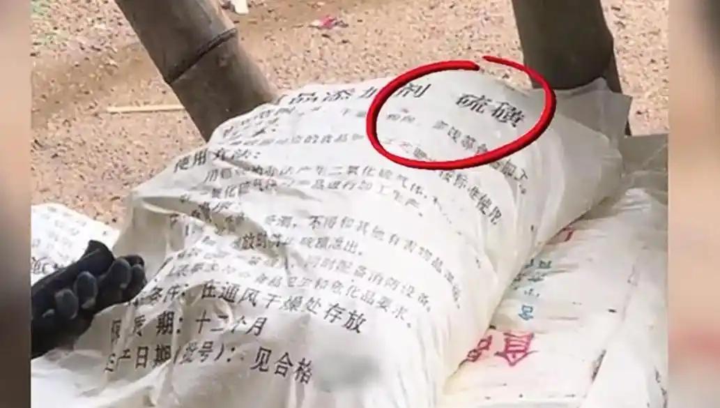 打假博主“渔猎齐哥”9月赴清远，拍下硫磺熏笋黑窝点，现场刺鼻呛人、旁树被熏死，鲜