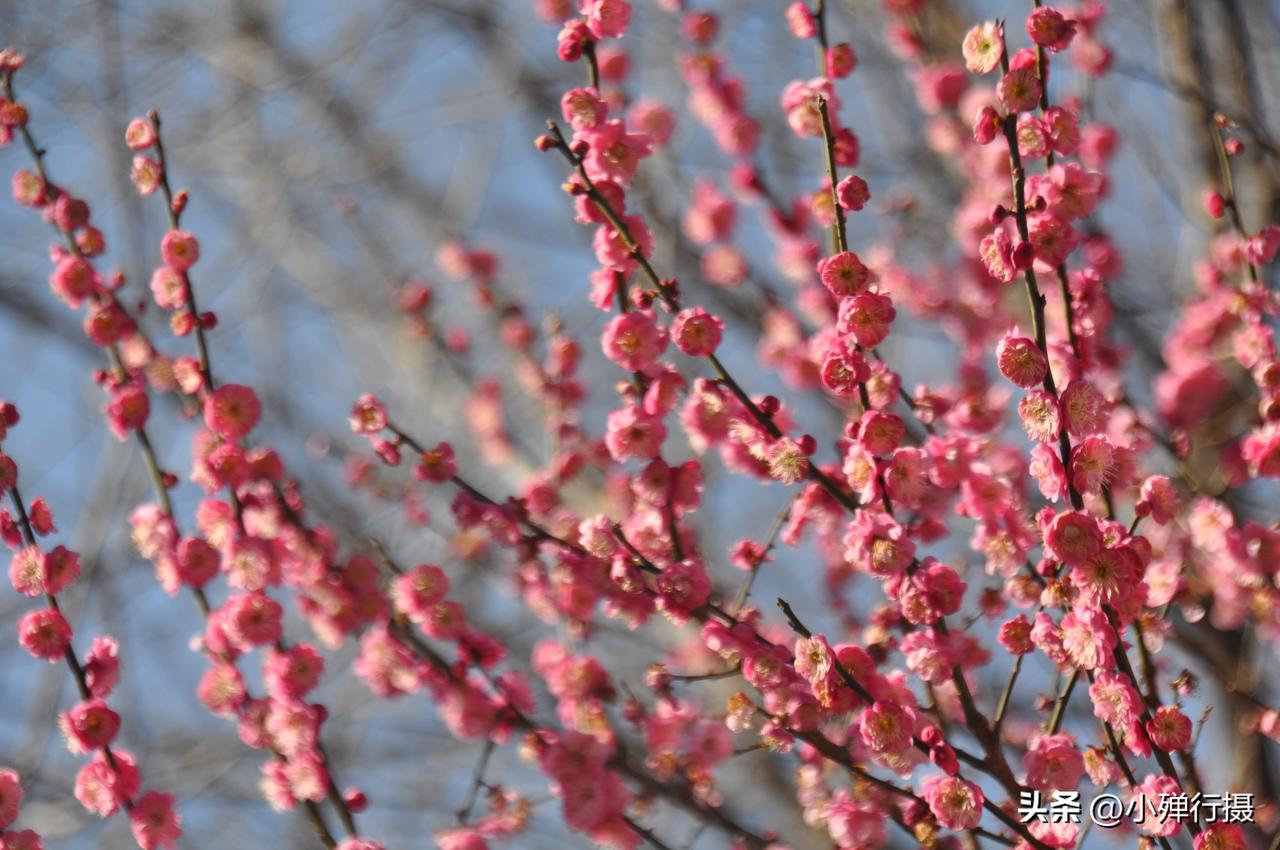 当你老了,钱和健康哪个重要?我觉得当你老了，什么都比不上身体健康重要，有钱不一定