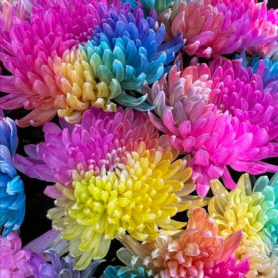 11月7日，一则关于苏州原官员的信息传递出。 
 
这一则信息是事关唐晓东的。