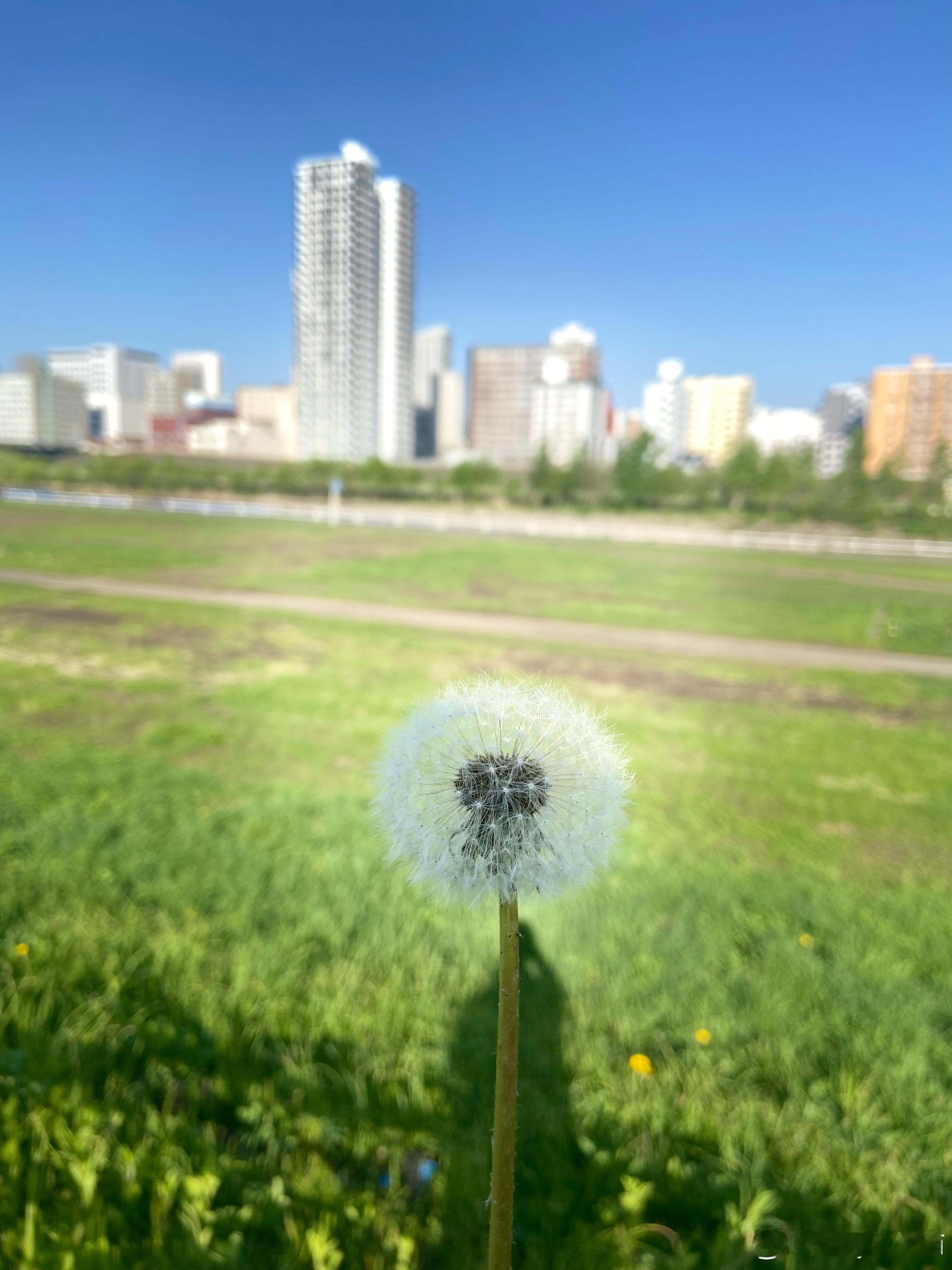 4🈷️从出差回日本之后放纵的吃胖了2kg[泪]从跑步🏃🏻‍♀️数据来看，跑