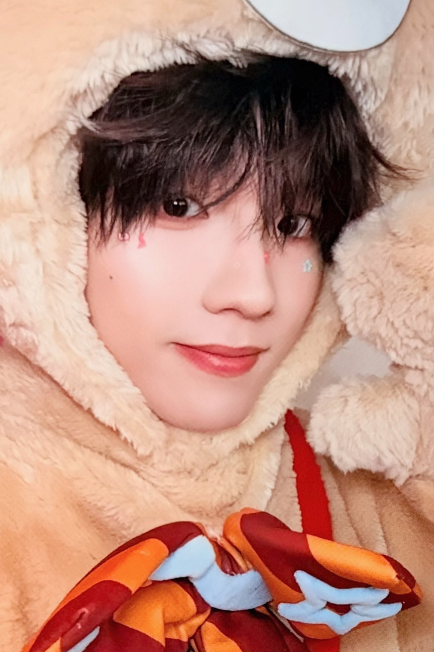 小笨熊 