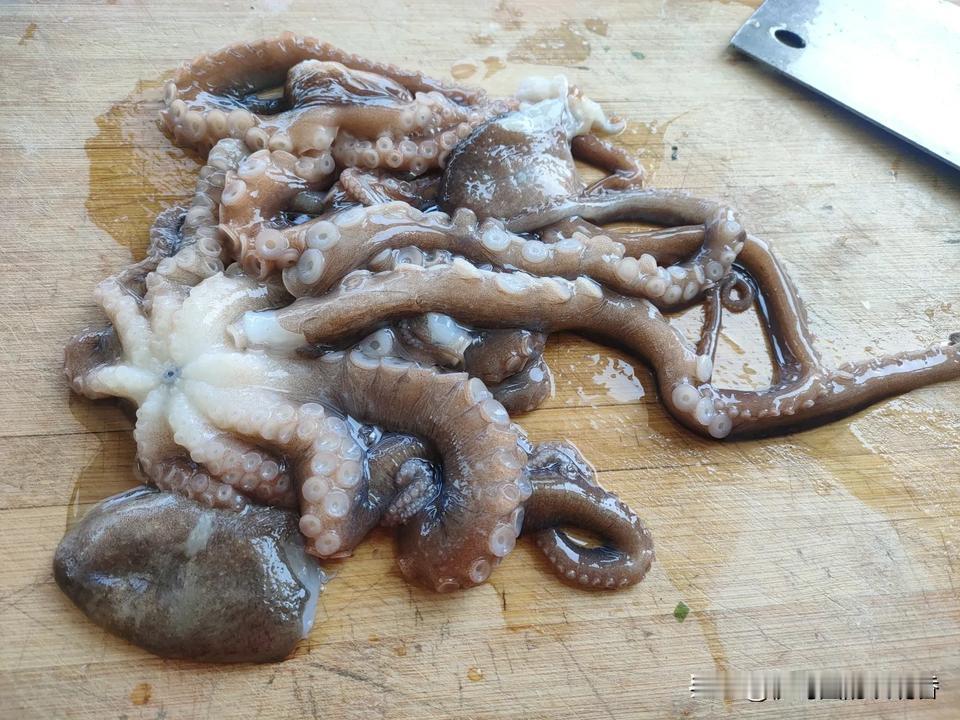 靶梢三鲜馅饺子肯定很美味。三鲜馅饺子有很多种组合，像韭菜、虾仁和猪肉的搭配就很经