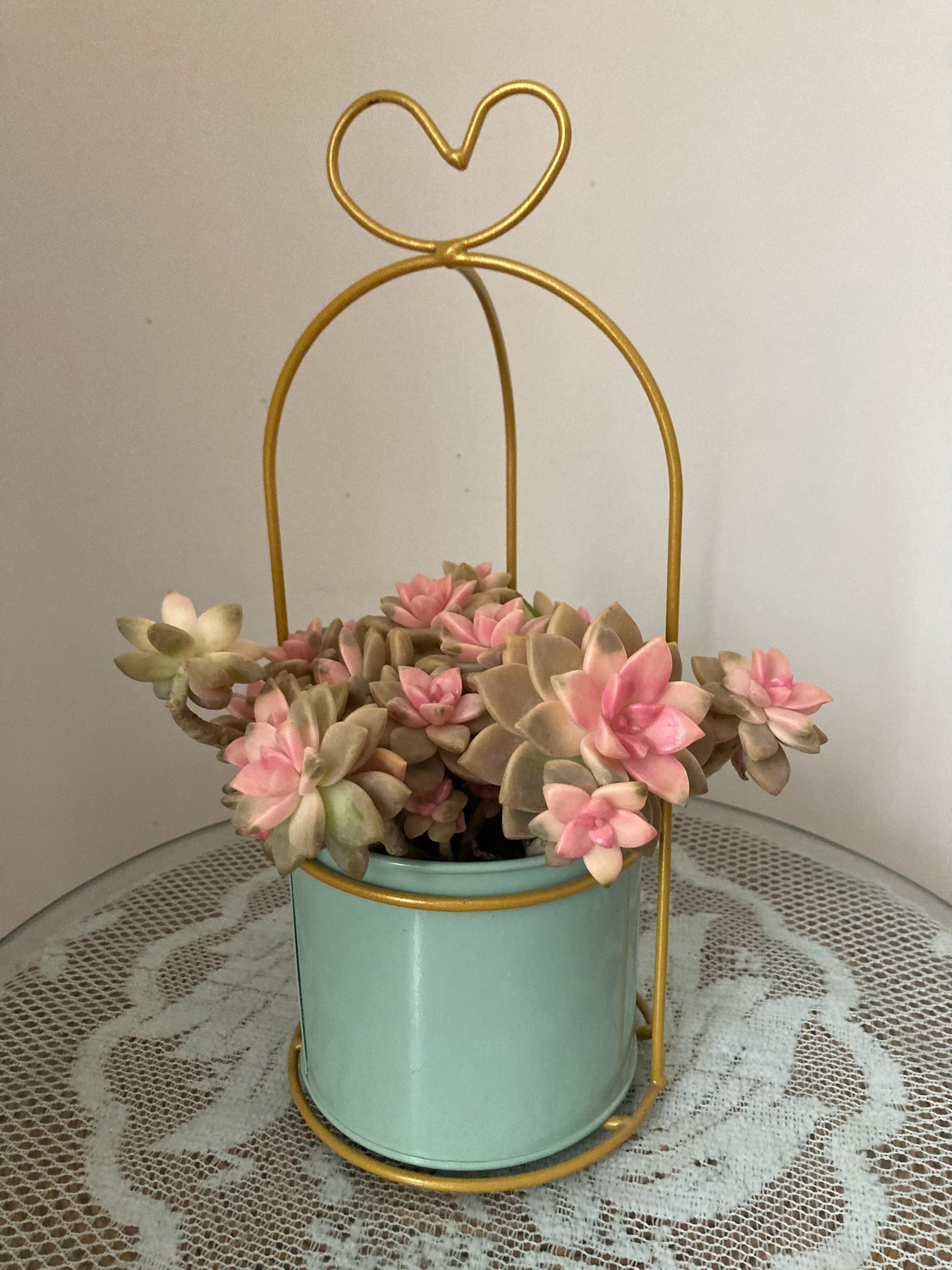 灯火阑珊福满人间🧧🧧🧧 