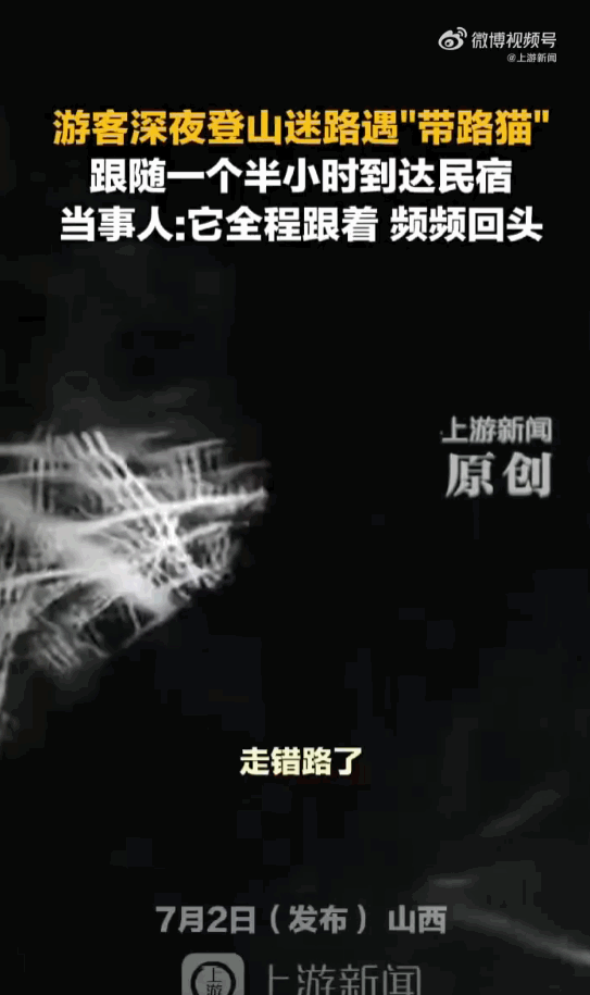 世间万物皆有灵性！山西一处深山里，游客深夜登山，结果彻底迷了路，手机信号也断了，