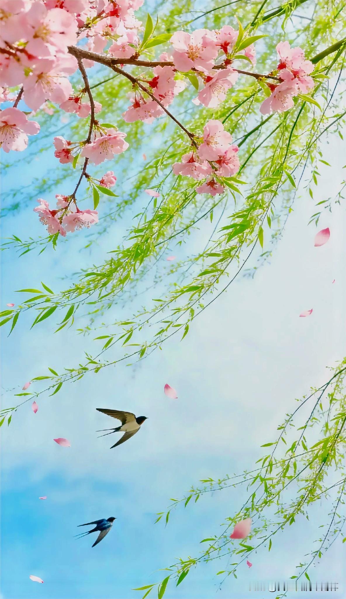 上联：情浓夏日双飞燕
下联：有请雅士[玫瑰][玫瑰][玫瑰]