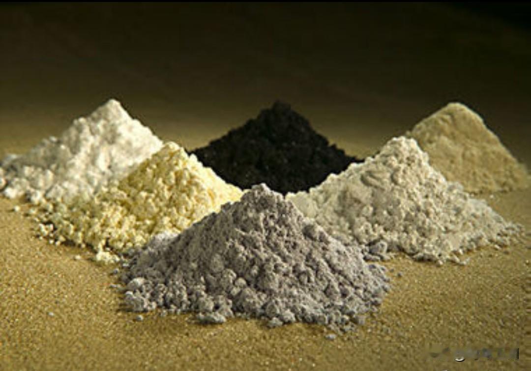 德国外长声称，欧洲需要加强与金砖国家的合作，但要选择价值观相近的印度和巴西，和中