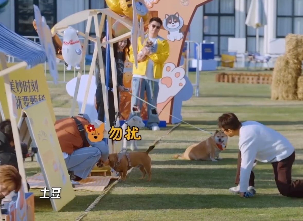 狗不理邓超被邓超和土豆的互动笑不活了🤣邓超假装被绑喊土豆来救场，小家伙一开始还