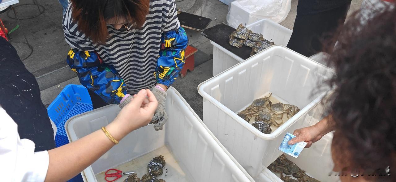 溱潼的螃蟹🦀
25块钱一只
客观的说，价钱怎么样？