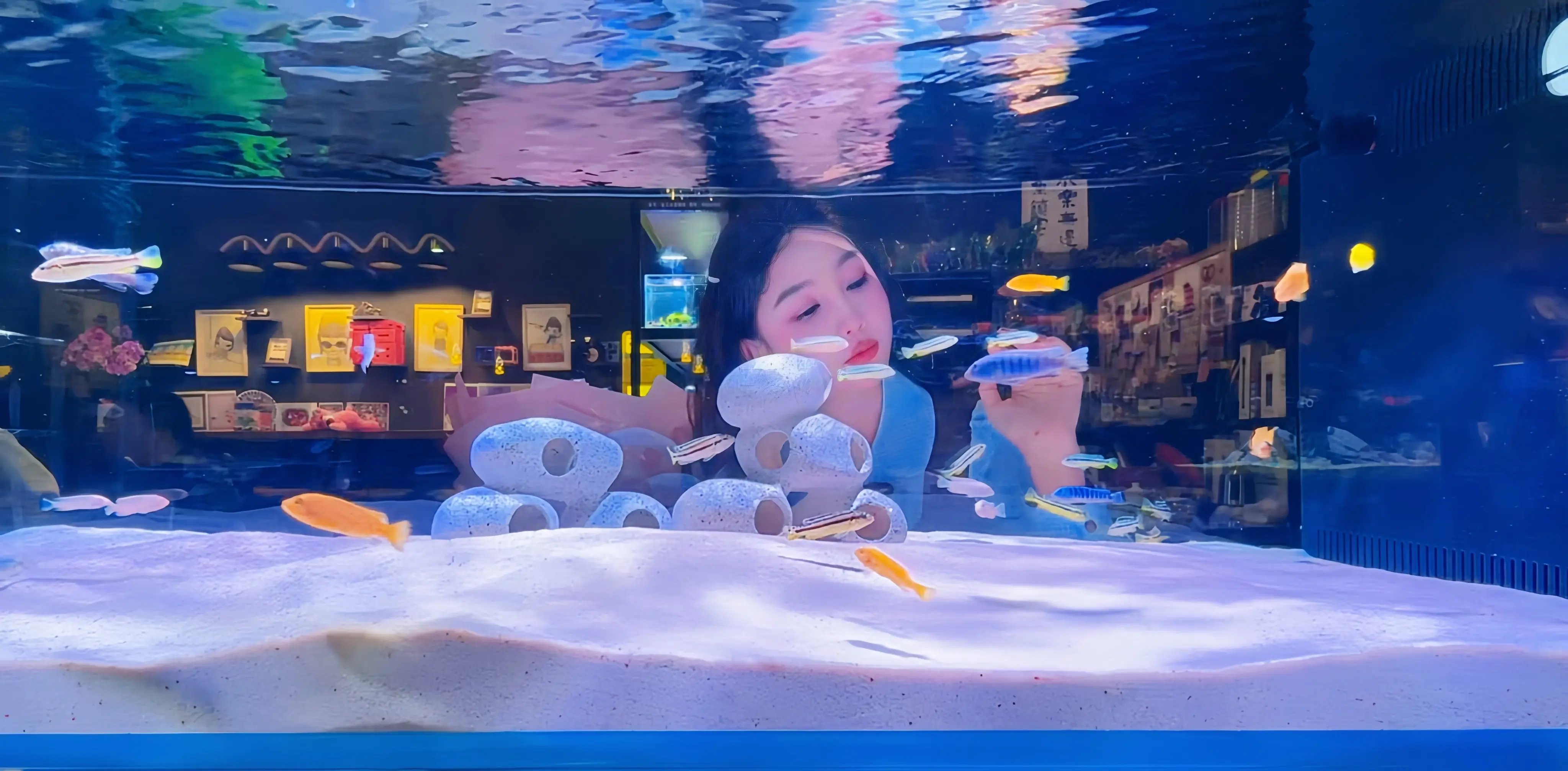 🧼闯入金鱼梦境    O。。🐟 虽然只有七秒的记忆 但也很快乐🐠