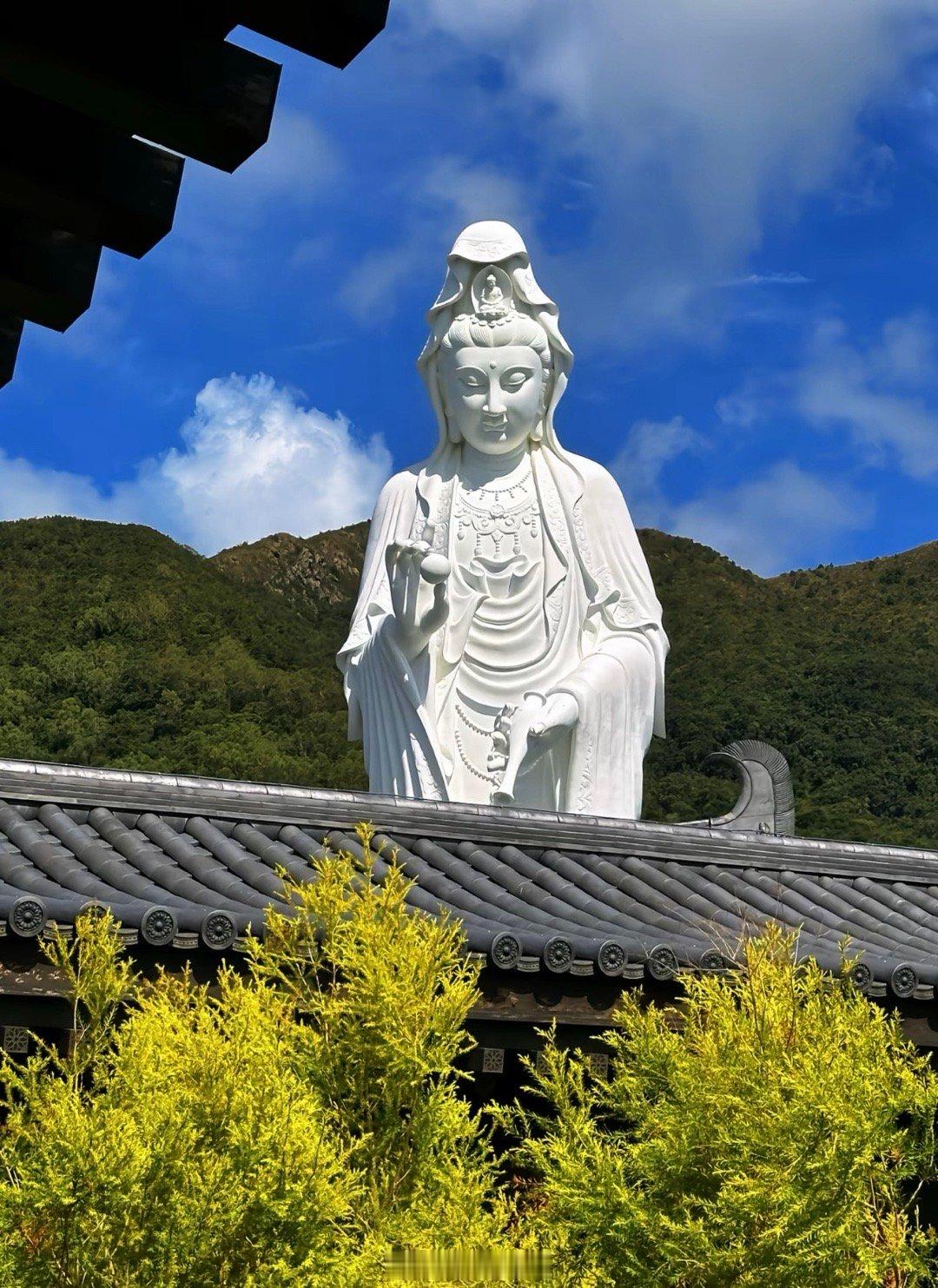 烂桃花本质是“情感吸血鬼”，专挑有漏洞的人下手，我们下面分两类来进行解答，一类是