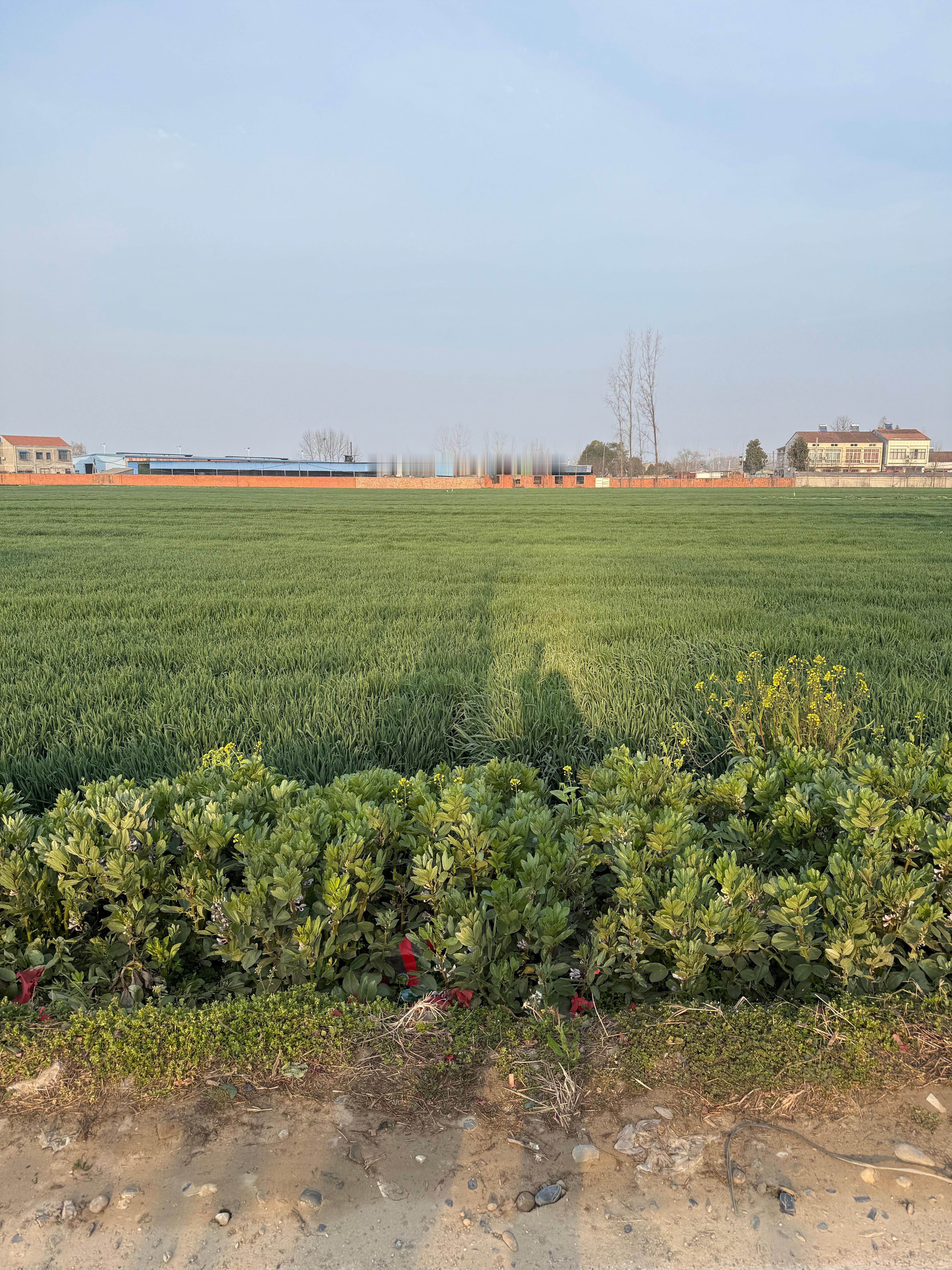 人的心气是能重新养回来的心气，本质上是我们对自我价值的确认和对生活的掌控感。当它