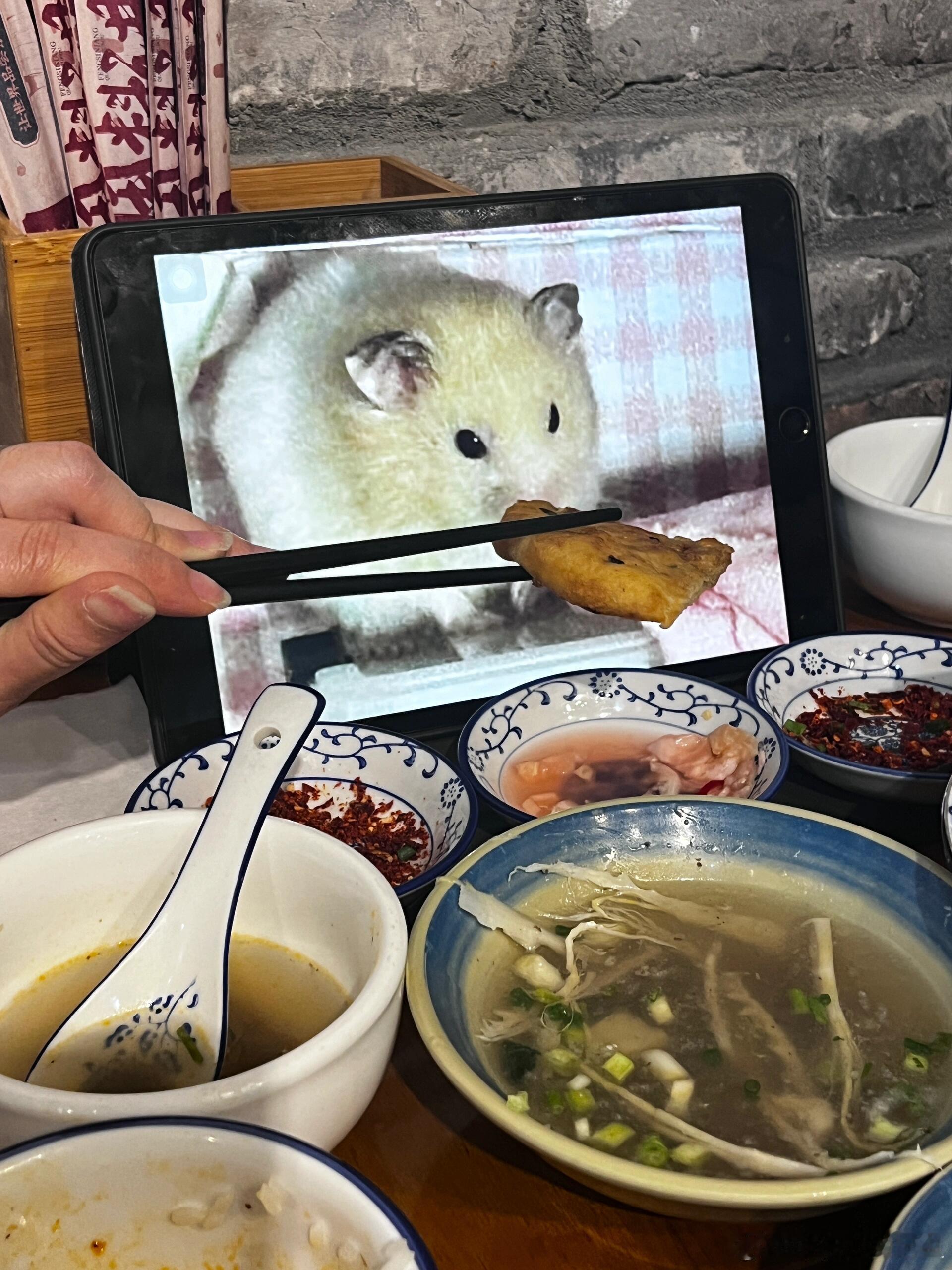 给养了三年的鼠鼠举行了告别仪式#给养了三年的鼠鼠举行了告别仪式# // #我的春