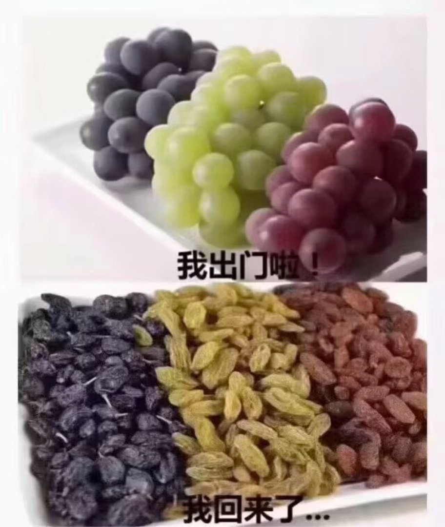 晒成葡萄干了今日memesfunny memememe