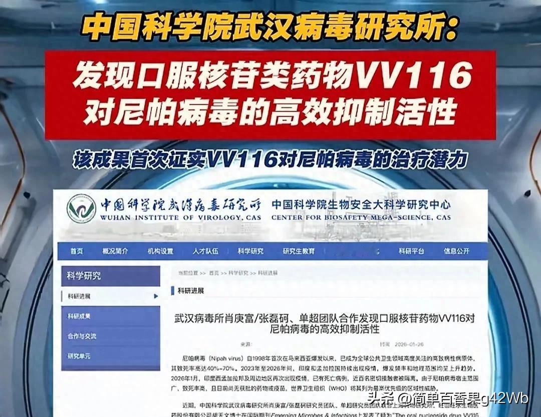 武汉病毒研究所发现，一款新冠药物或可“老药新用”，对抗尼帕病毒

尼帕病毒，被世