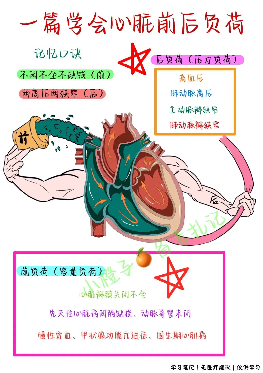 📖考前急救｜教你如何学习🫀前后负荷✅