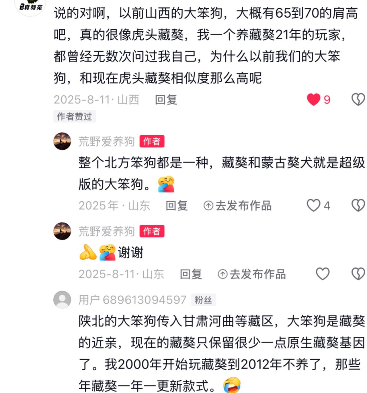 如今，北方笨狗和太行犬、本土的藏獒和蒙古獒的关系，已经难以说清。但真正的老式笨狗