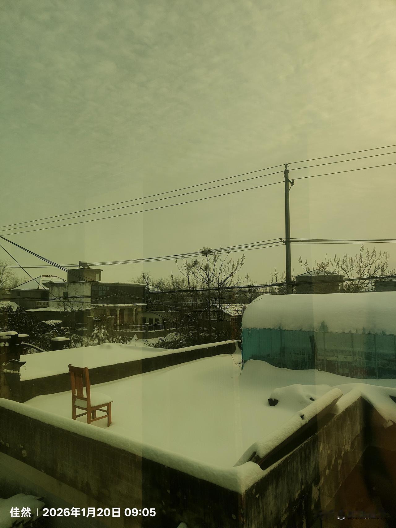 早上一起来，就看到白茫茫一片[呲牙]真是美极了