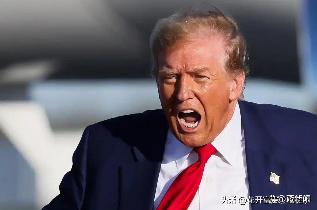 特朗普又放狠话了！这次直接摊牌：如果北约成员国不把军费提上来，美国就退出北约。