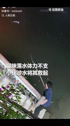 “没想到上人民日报了！”成都，一只流浪猫落水体力不支，岸上的人看到后面面相觑，就