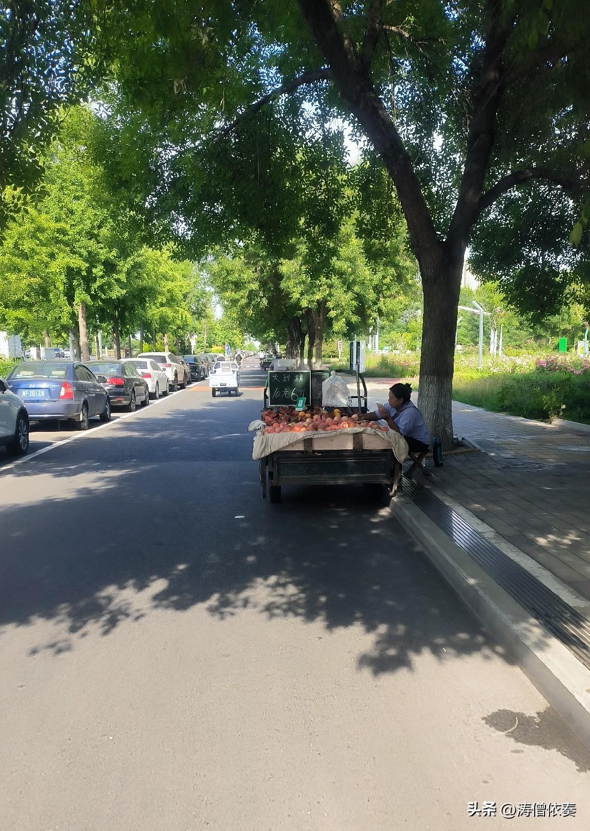 七一路偶遇顺平大京红，10元6斤太划算

路过保定七一路，远处喇叭的吆喝声吸引了