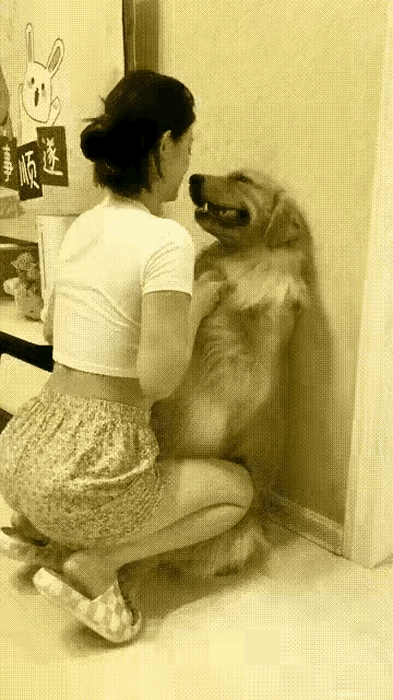 人闲狗不待见的仙女！不会是妖精变的吧？可惜悟空现在不受待见了[捂脸][捂脸][捂