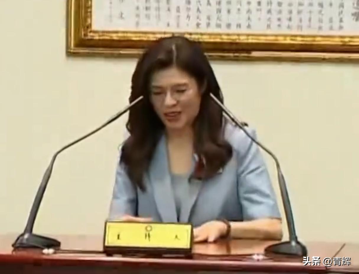 郑丽文访问前两天行程公布，大陆的安排明显为郑丽文着想
3月31号台岛国民派系对外